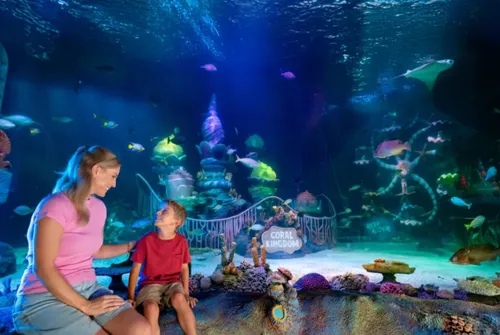 SEA LIFE Florida