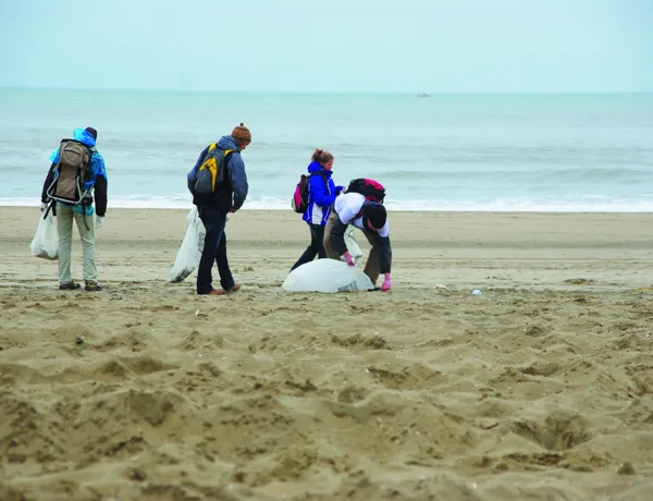 Conservation Cove | SEA LIFE Michigan Aquarium