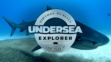 Sharkdive Roundel Web (1)