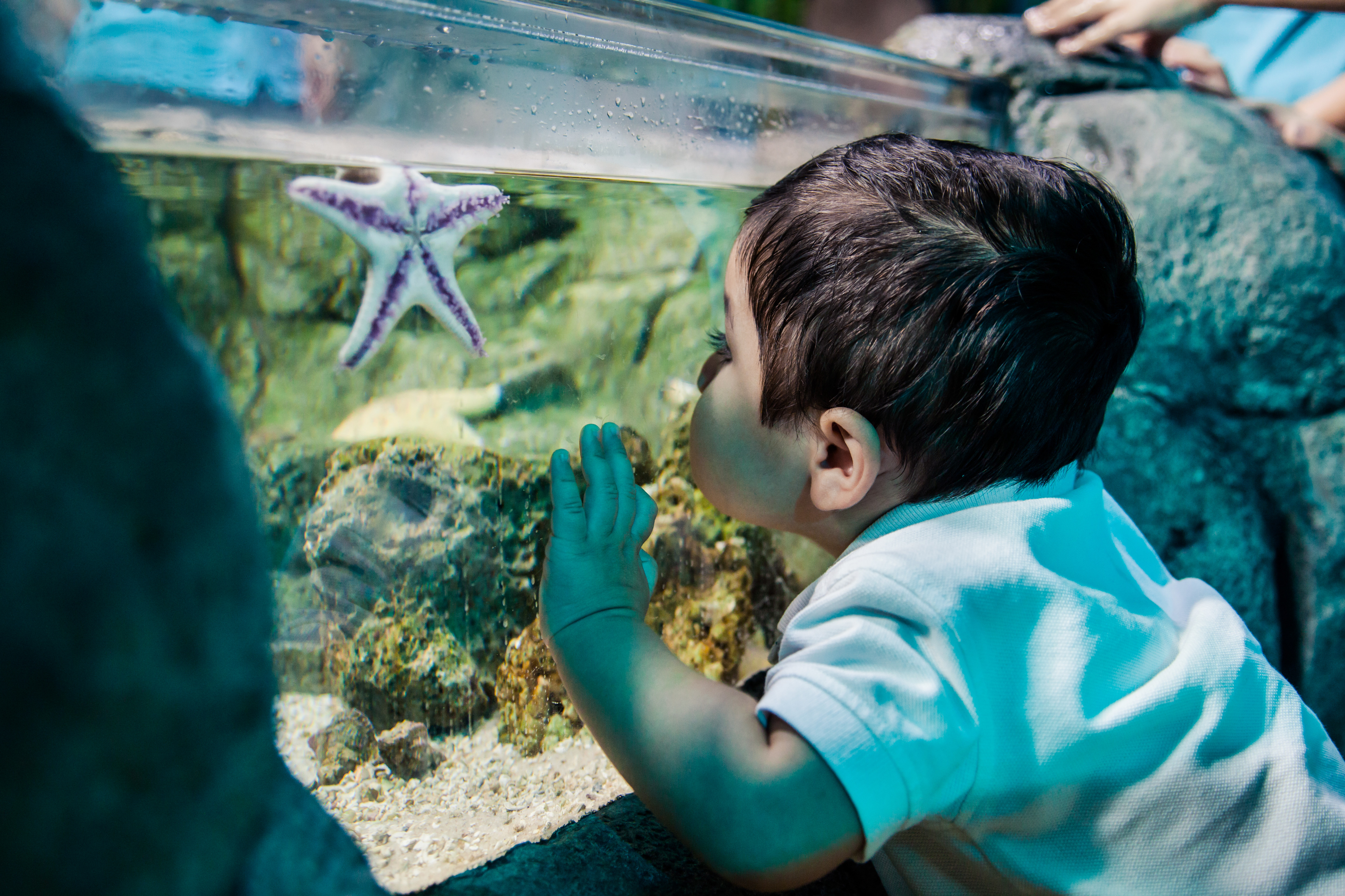 Toddler Time | SEA LIFE Orlando Aquarium