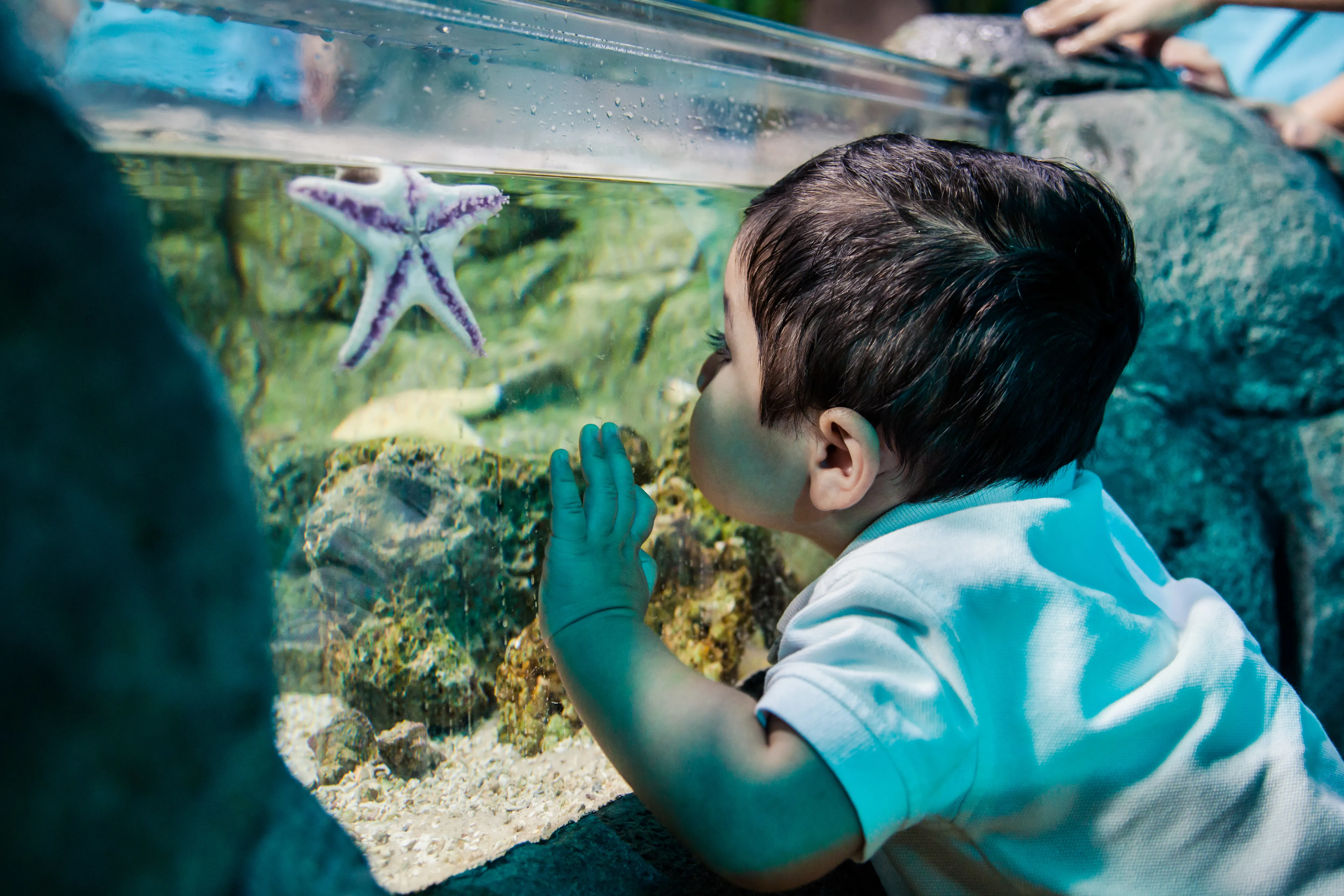 Toddler Time | SEA LIFE Orlando Aquarium