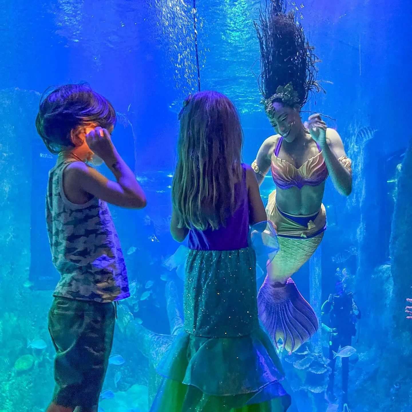 IG User Odienadventures Mermaid 360 Interaction