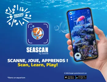 sea scan