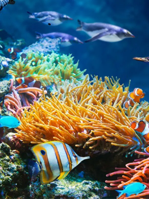 Aquarium Sea Life Paris Val d'Europe