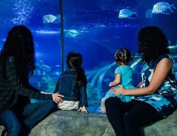 SEA LIFE Paris Aquarium at Val d'Europe