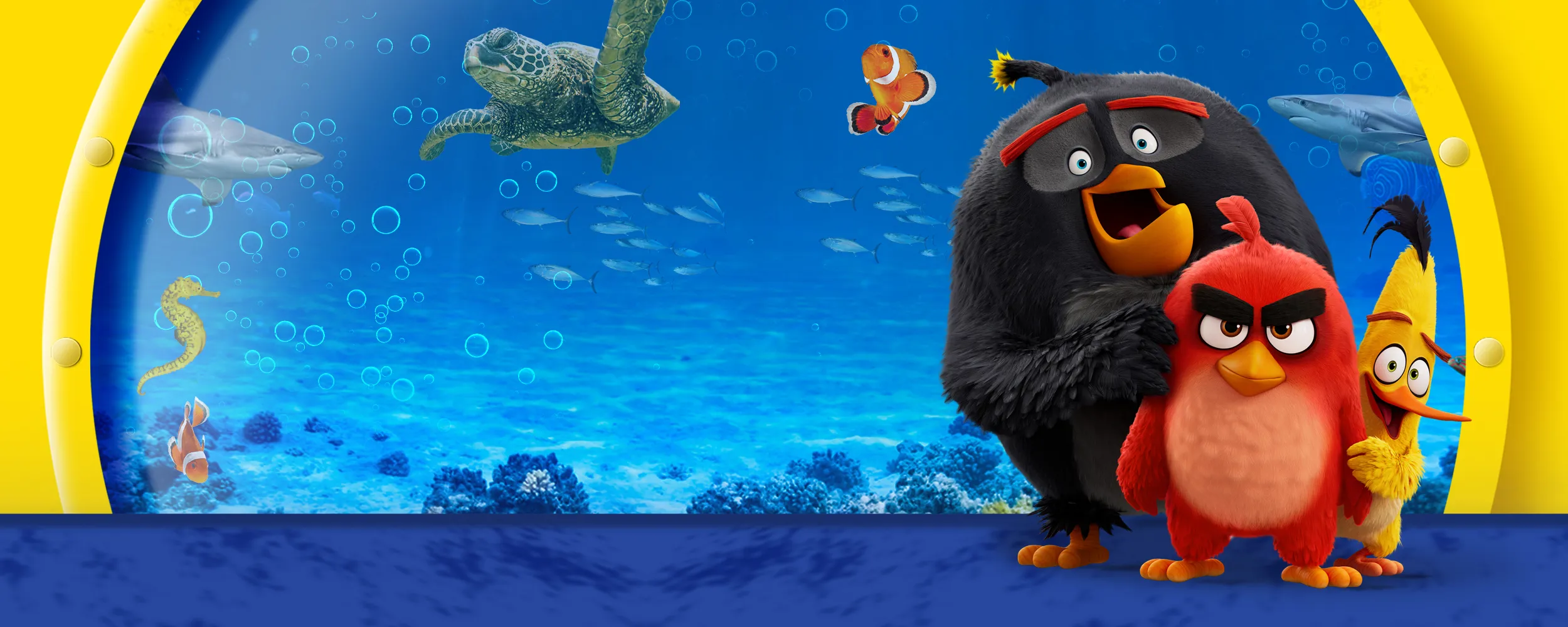 ANGRY BIRDS X SEA LIFE 2500X1000