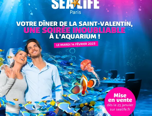 Visu Saint Valentin (1)