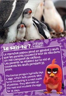 chasse aux oeufs papou 2