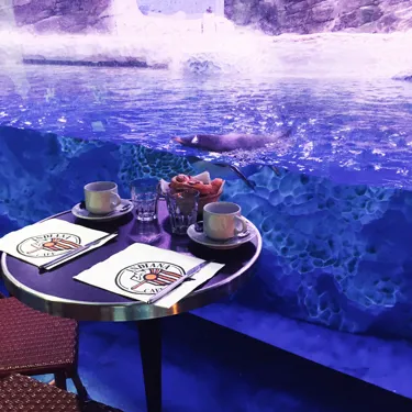 Petit Dejeuner Manchot