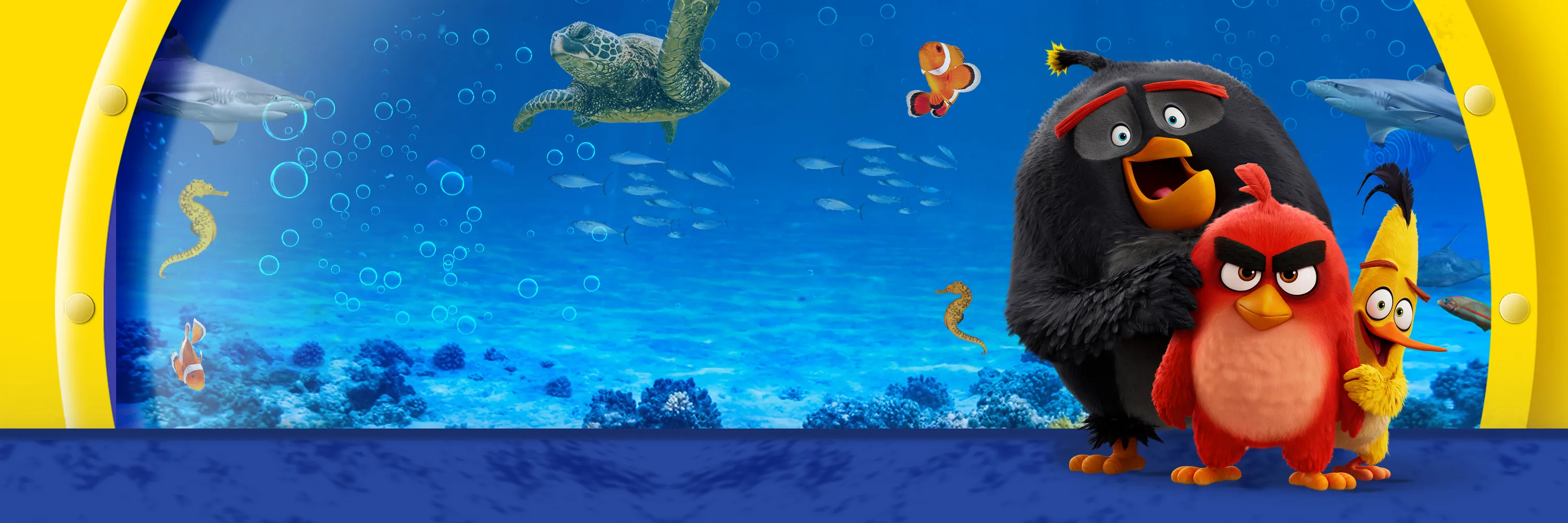 ANGRY BIRDS X SEA LIFE 3000X1000