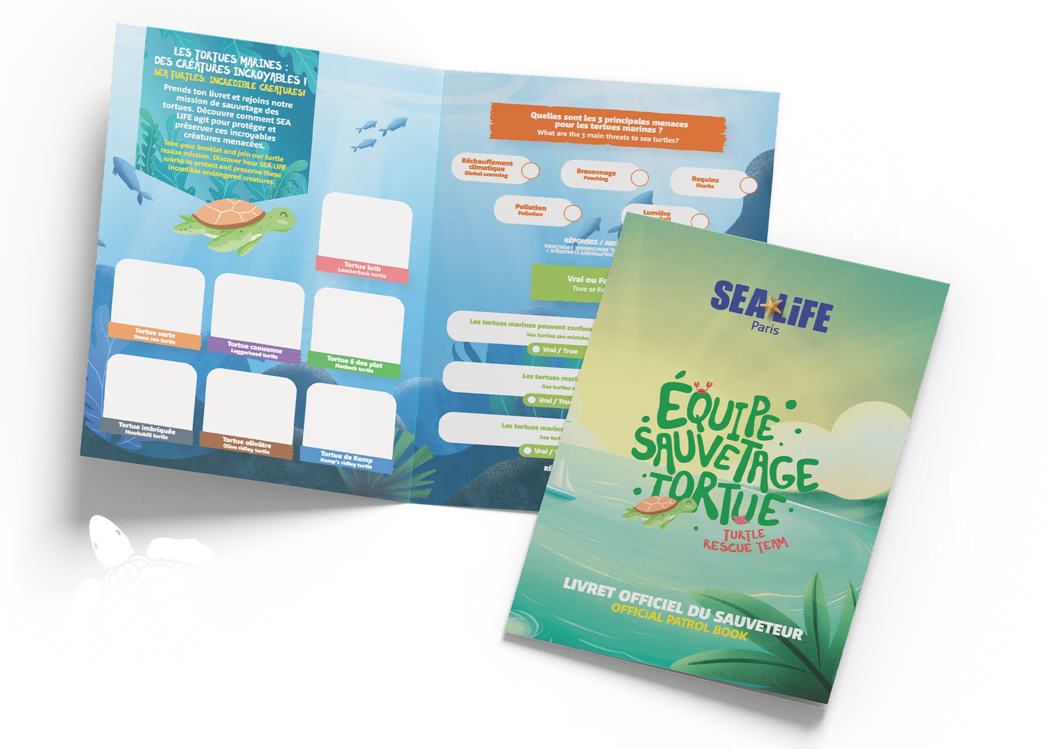 LEAFLET TURTLE FINAL (1)