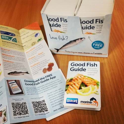 Dont Forget To Pick Up A Good Fish Guide On Your Visit To Help You Chose Sustainable Seafood Or Visit Wwwfishonlineorg To Download The App