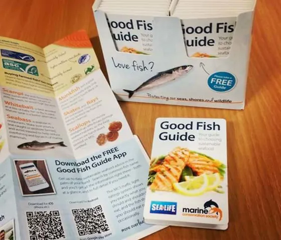 Dont Forget To Pick Up A Good Fish Guide On Your Visit To Help You Chose Sustainable Seafood Or Visit Wwwfishonlineorg To Download The App