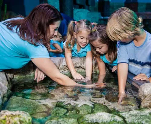 Sea Life Paris Schools