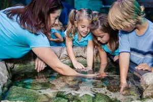 Sea Life Paris Schools