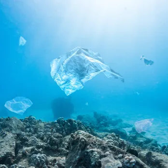 SQUARE Plastiques Sous L'eau