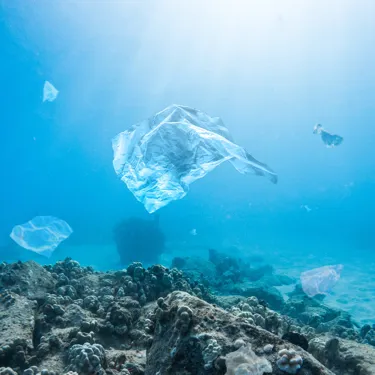 SQUARE Plastiques Sous L'eau