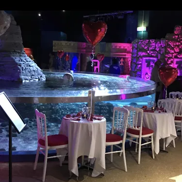 Saint Valentin Sea Life