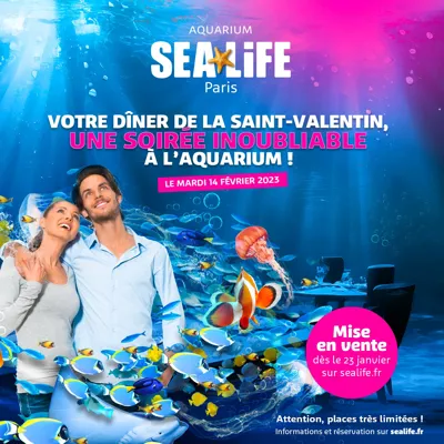 Visu Saint Valentin