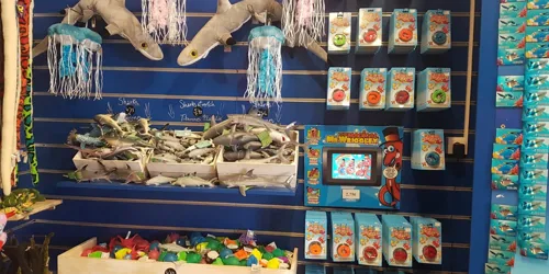 Shop5