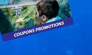 Slparis Promotion 220620