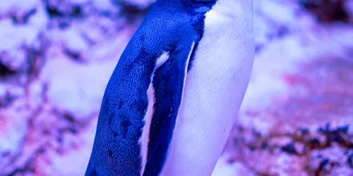 DSC03621