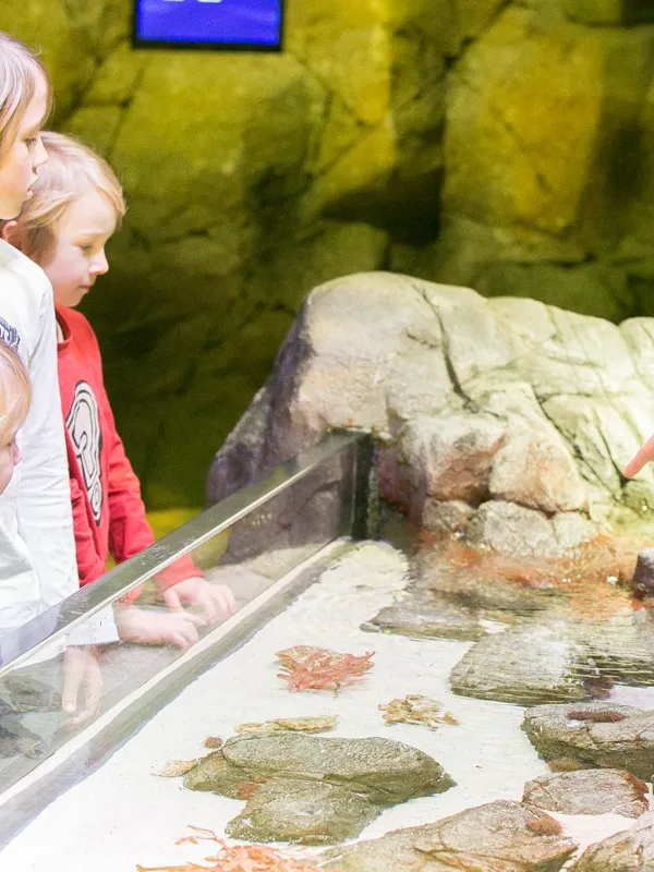 Aquarium Sea Life Paris Val d'Europe