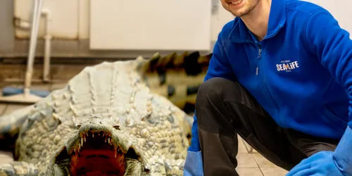 Bio Crocodile Jo24 2