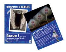 chasse aux oeufs 2 raie