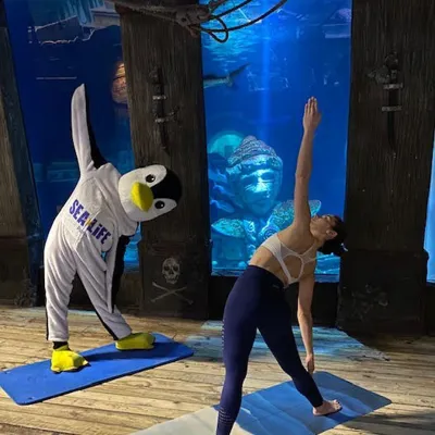 Flocon Yoga