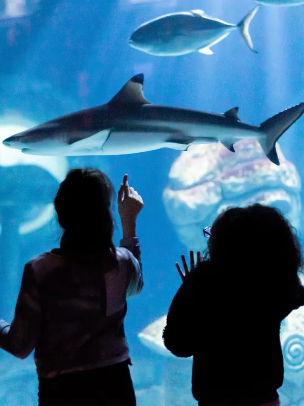 Aquarium Sea Life Paris Val d'Europe