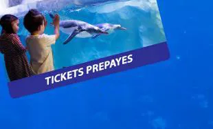 Slparis Prépayés 220620