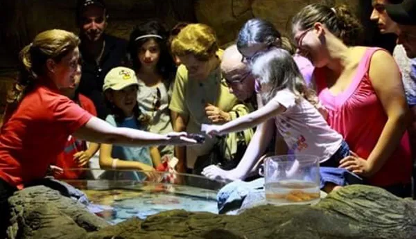 1 Sealife Todos Os Direitos Reservados