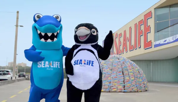 SHARK LIFE