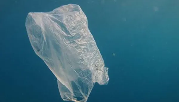 Plastic Bag