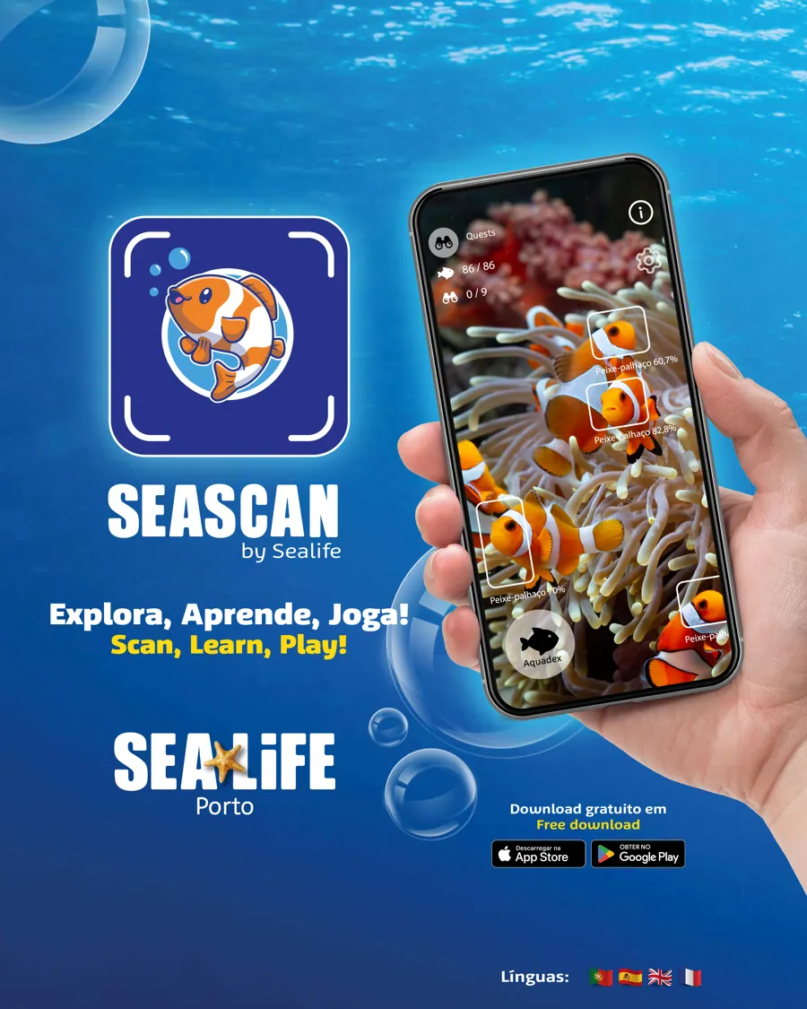 SEA LIFE Porto The Family Aquarium SEA LIFE Porto The Family Aquarium