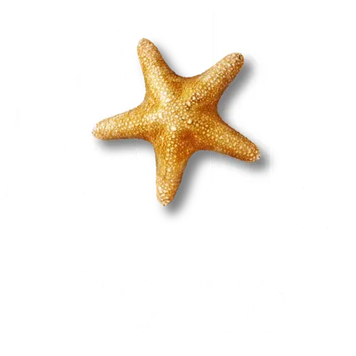SEA LIFE + Porto (White Text) RGB