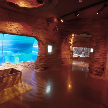 Gruta Dos Oceanos