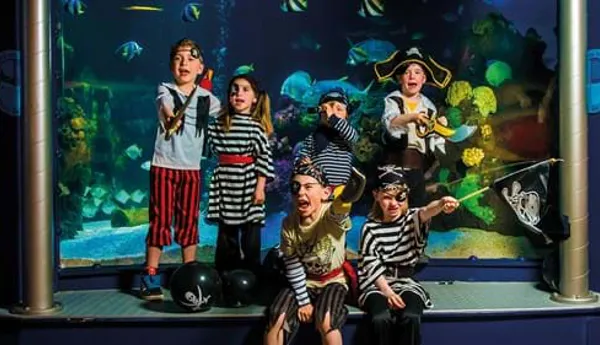 Sealife Birthday