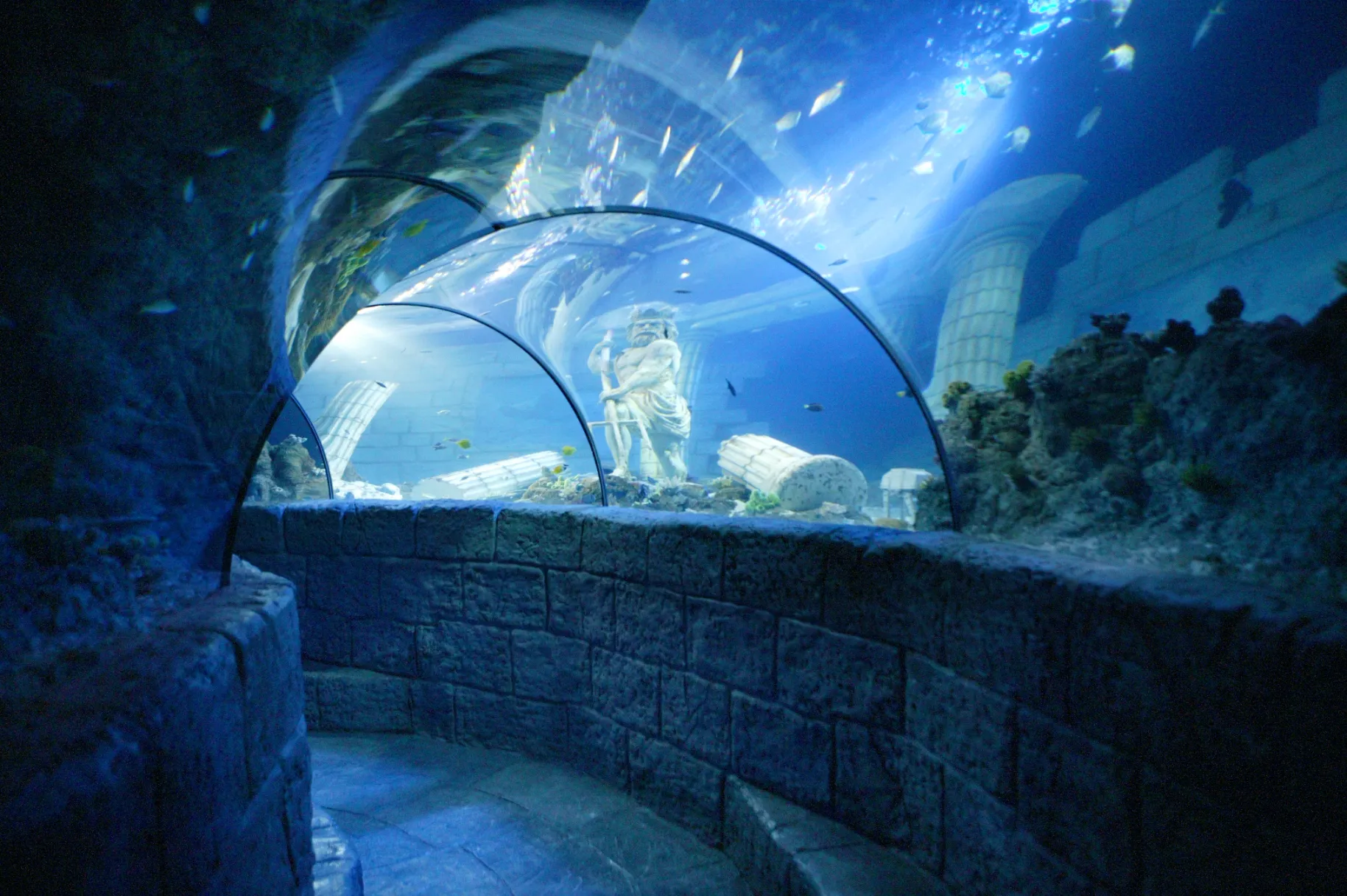SEA LIFE Porto O Aqu rio Das Fam lias SEA LIFE Porto O Aqu rio Das Fam lias
