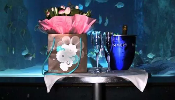 Sea Life Wedding