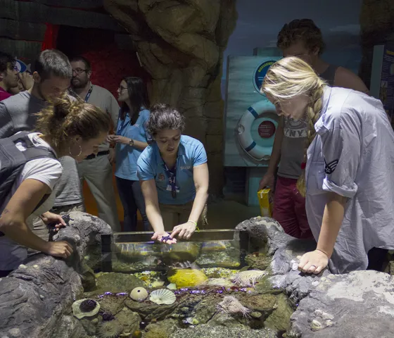 Rock Pool