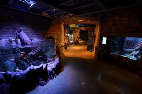Sea Life Espaço13