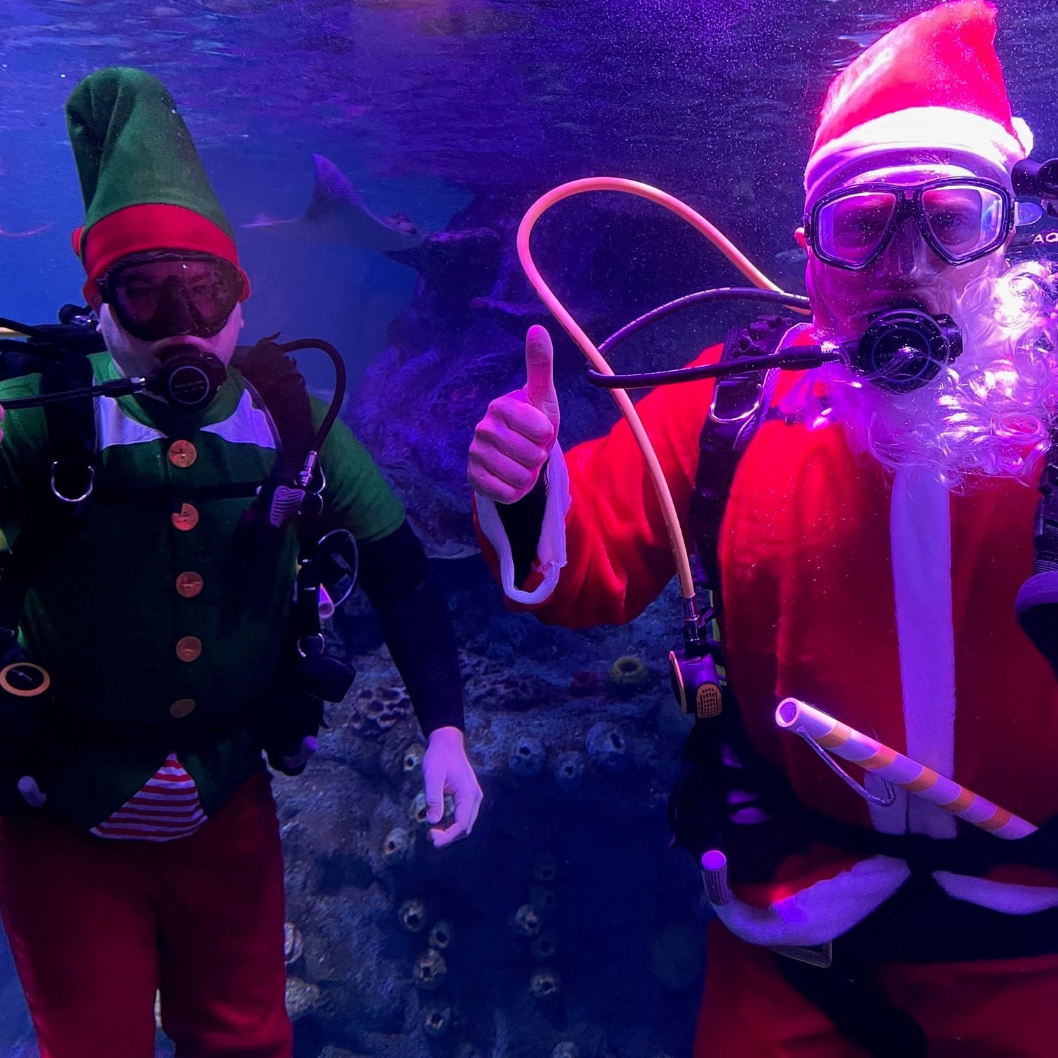 SL SA Diving Santa Practice 1 1