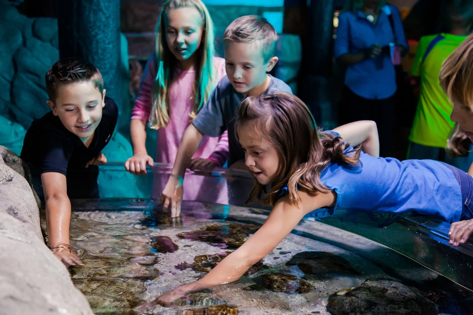 Homechools SEA LIFE San Antonio Aquarium