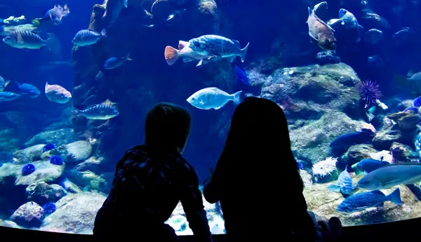 Combination Tickets - Shipwreck 1400x1000 Combination Tickets - Shipwreck 1400x1000