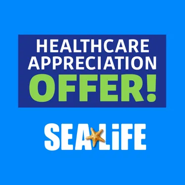 SL Healthcareappreciation 1080X1080 Carousel 3