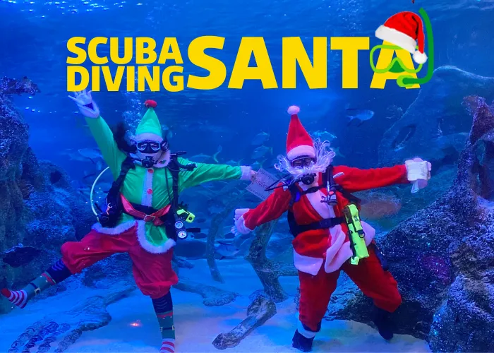 SL Scubadivingsanta 2025 (700 X 500 Px)