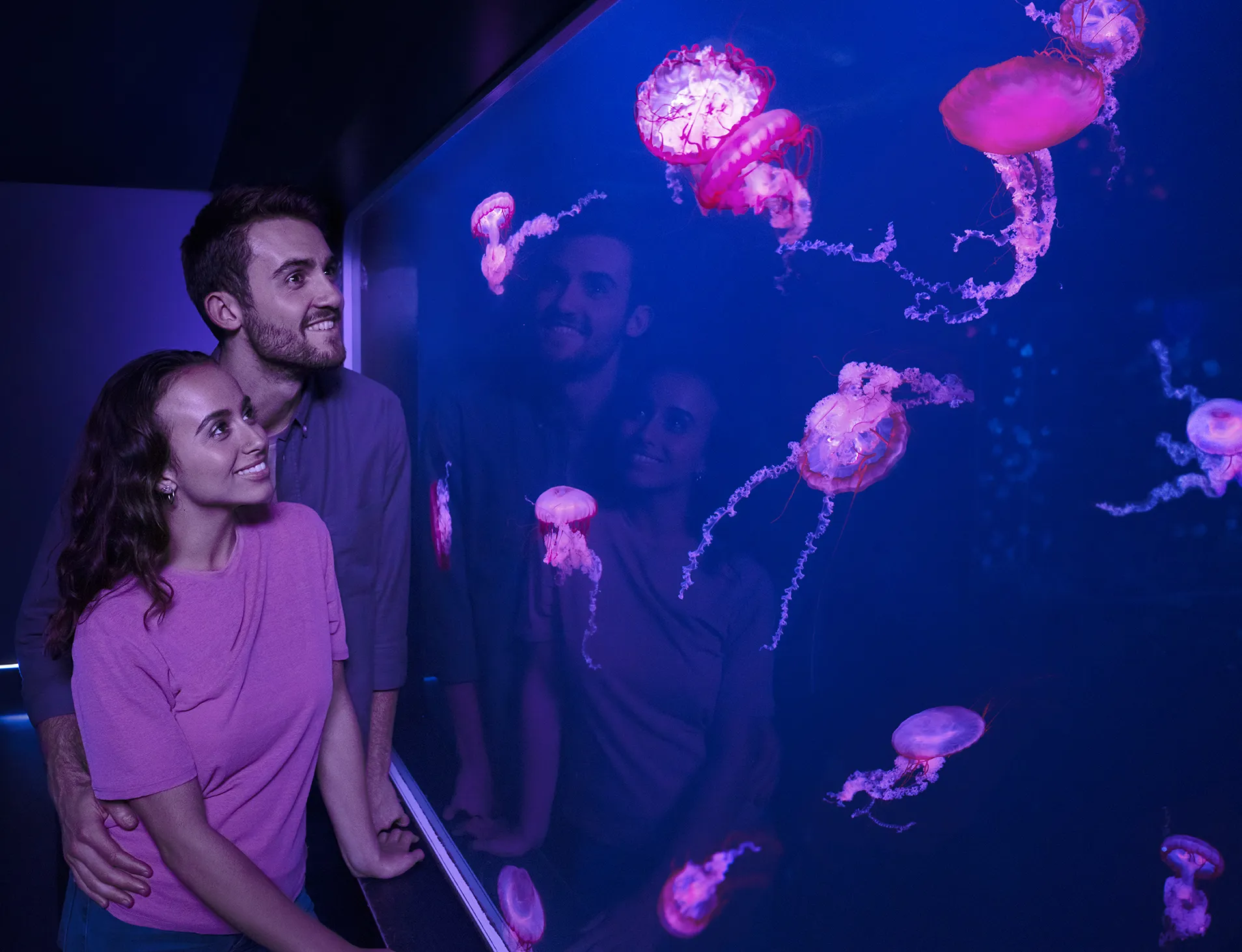 10717 Sealife Day22487 Fin V5 Crop Lo Res