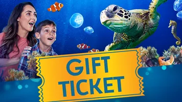 SEA LFE Gift Ticket Mobile Page Header 1000X1000